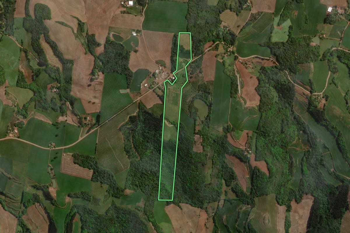 Imagem de satélite do imóvel rural em Centenário (RS), com o contorno declarado no CAR desenhado por cima.