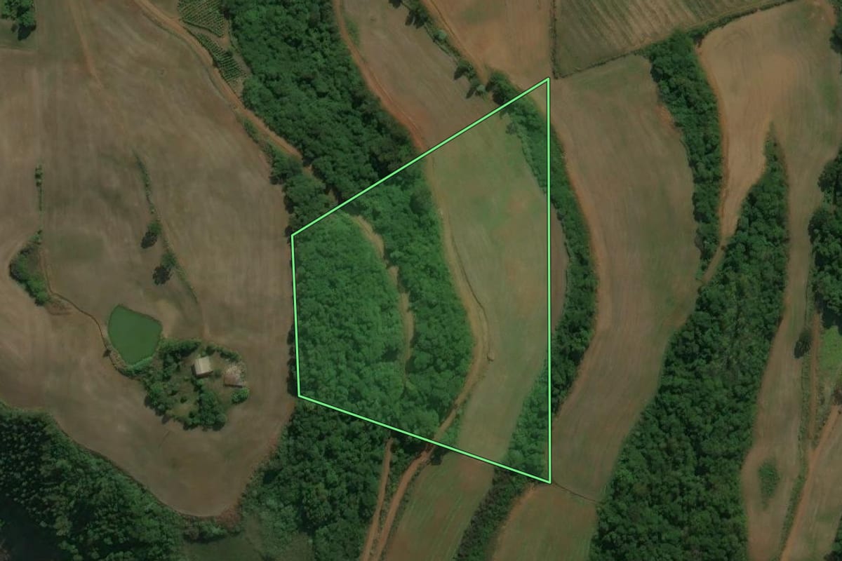 Imagem de satélite do imóvel rural em Centenário (RS), com o contorno declarado no CAR desenhado por cima.