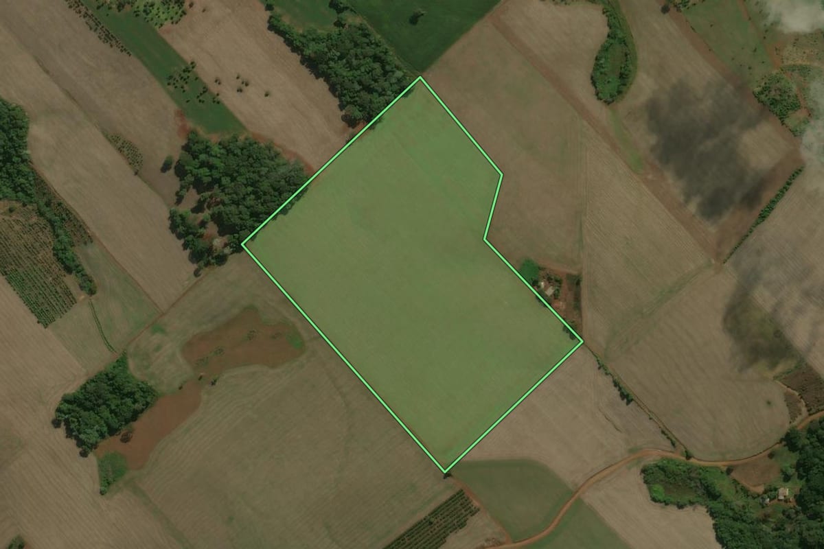 Imagem de satélite do imóvel rural em Centenário (RS), com o contorno declarado no CAR desenhado por cima.