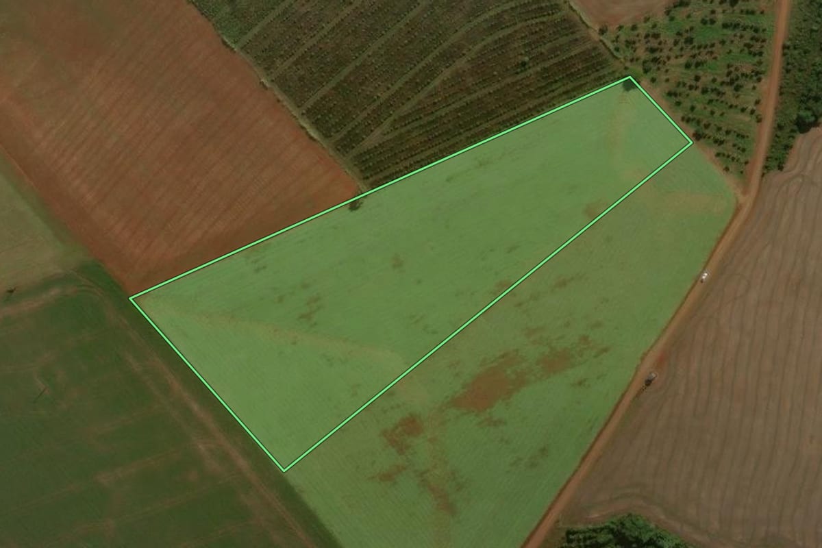 Imagem de satélite do imóvel rural em Centenário (RS), com o contorno declarado no CAR desenhado por cima.