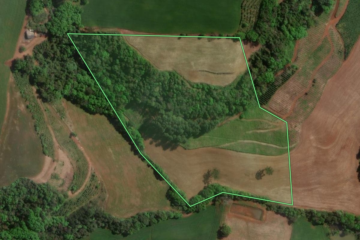 Imagem de satélite do imóvel rural em Centenário (RS), com o contorno declarado no CAR desenhado por cima.
