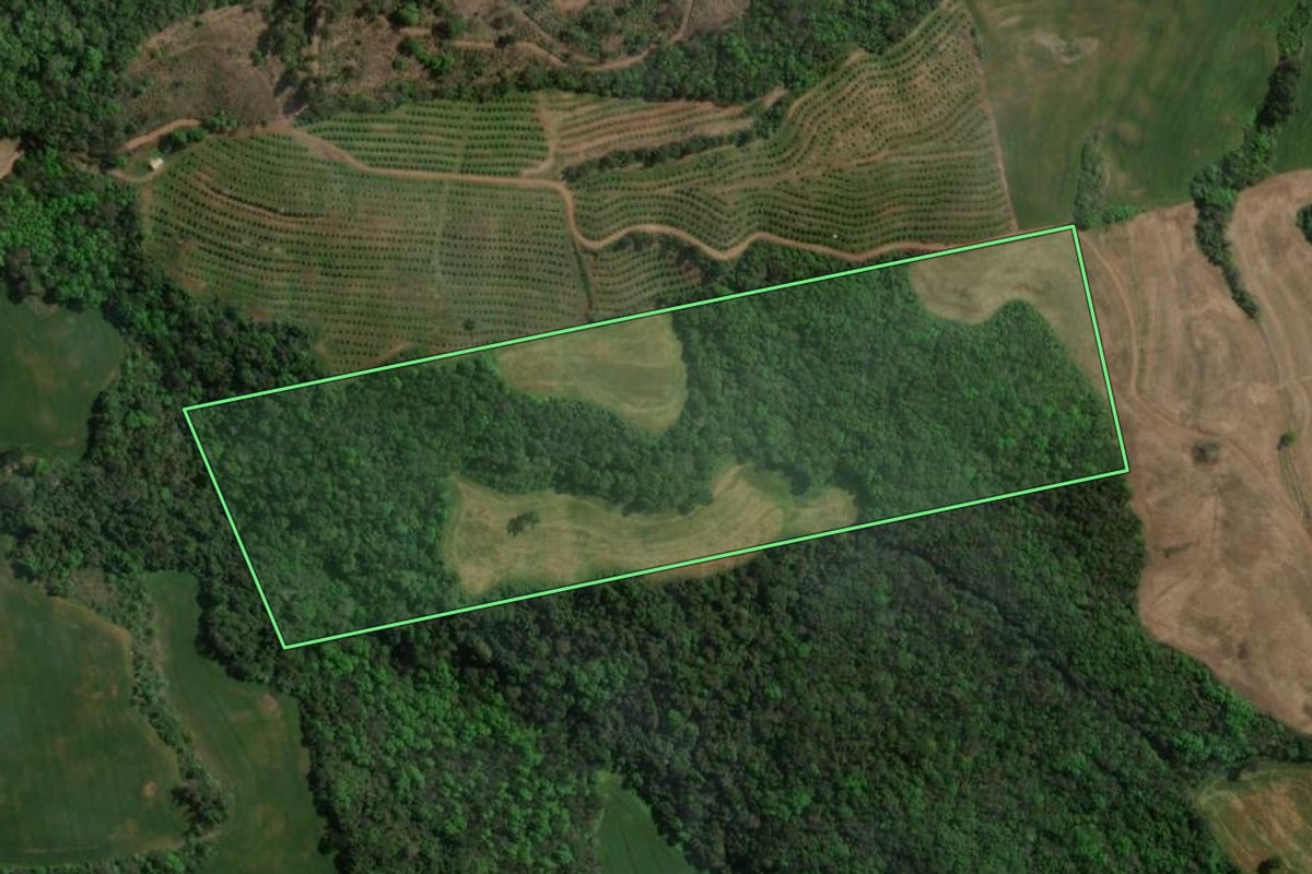 Imagem de satélite do imóvel rural em Centenário (RS), com o contorno declarado no CAR desenhado por cima.