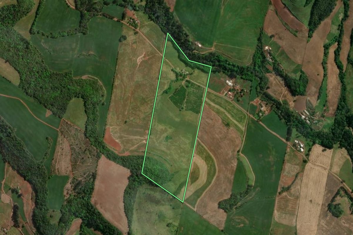Imagem de satélite do imóvel rural em Centenário (RS), com o contorno declarado no CAR desenhado por cima.