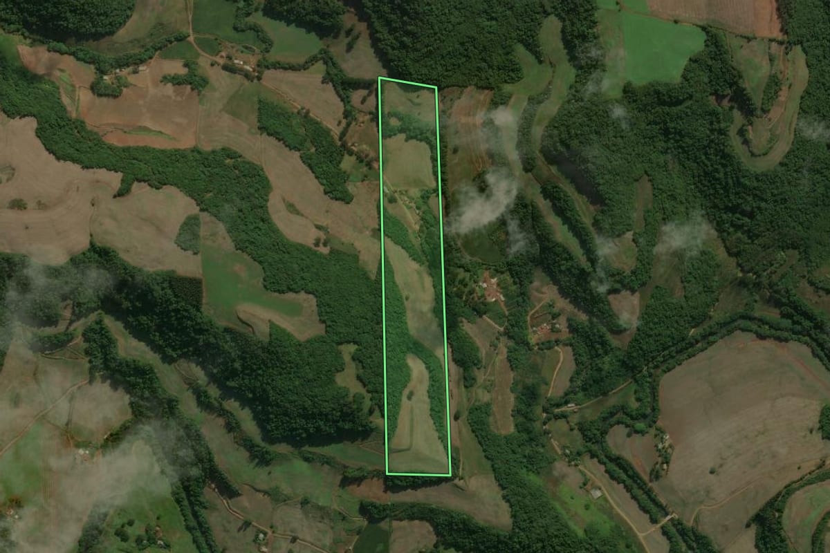 Imagem de satélite do imóvel rural em Centenário (RS), com o contorno declarado no CAR desenhado por cima.