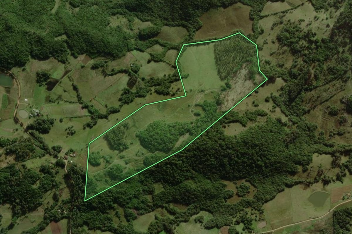 Imagem de satélite do imóvel rural em Cerrito (RS), com o contorno declarado no CAR desenhado por cima.
