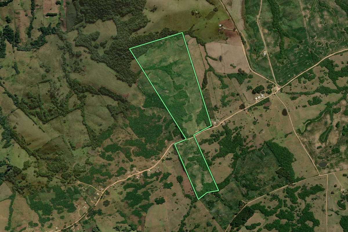 Imagem de satélite do imóvel rural em Cerrito (RS), com o contorno declarado no CAR desenhado por cima.