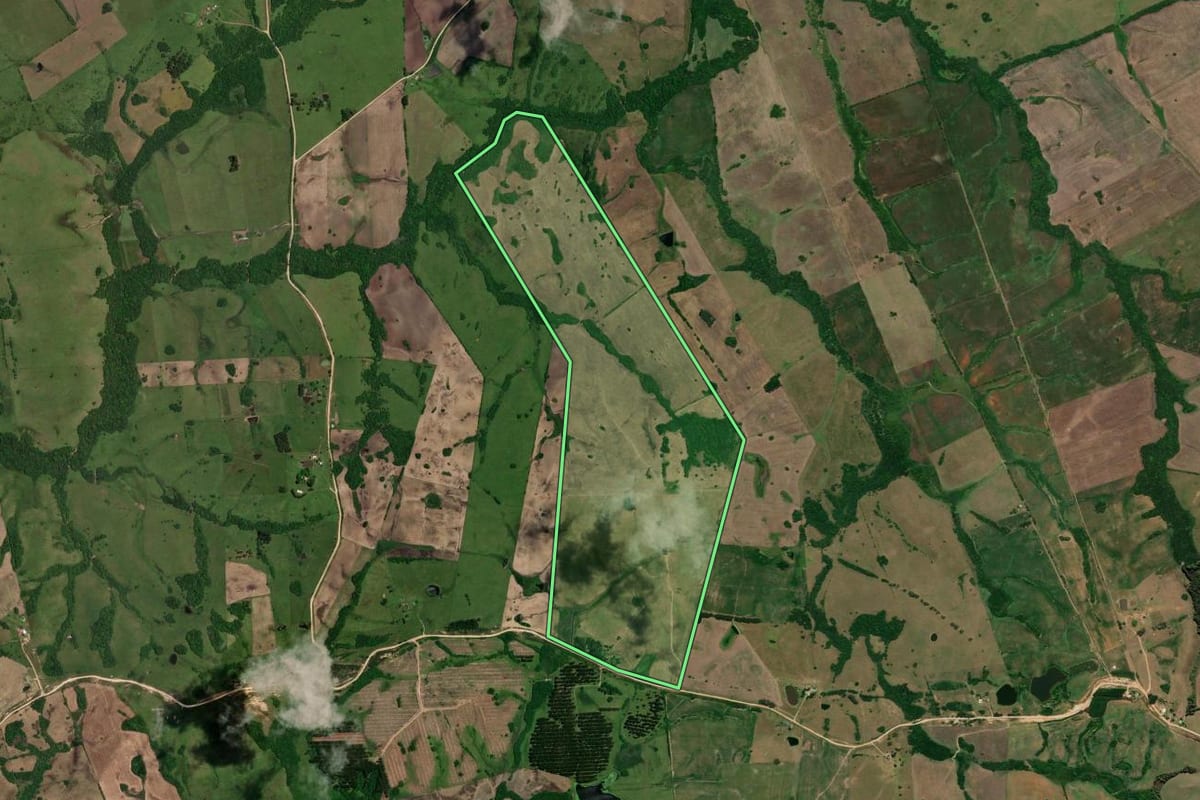 Imagem de satélite do imóvel rural em Cerrito (RS), com o contorno declarado no CAR desenhado por cima.