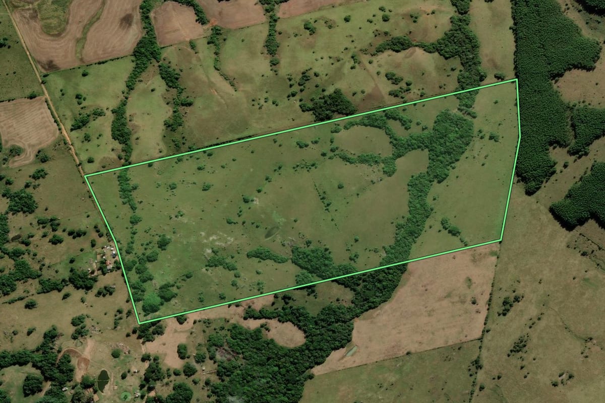 Imagem de satélite do imóvel rural em Cerrito (RS), com o contorno declarado no CAR desenhado por cima.