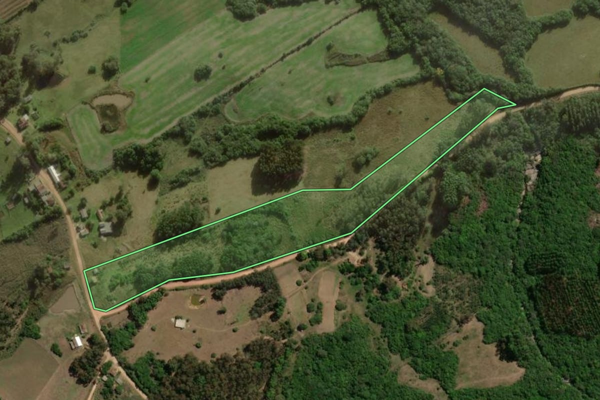Imagem de satélite do imóvel rural em Cerrito (RS), com o contorno declarado no CAR desenhado por cima.