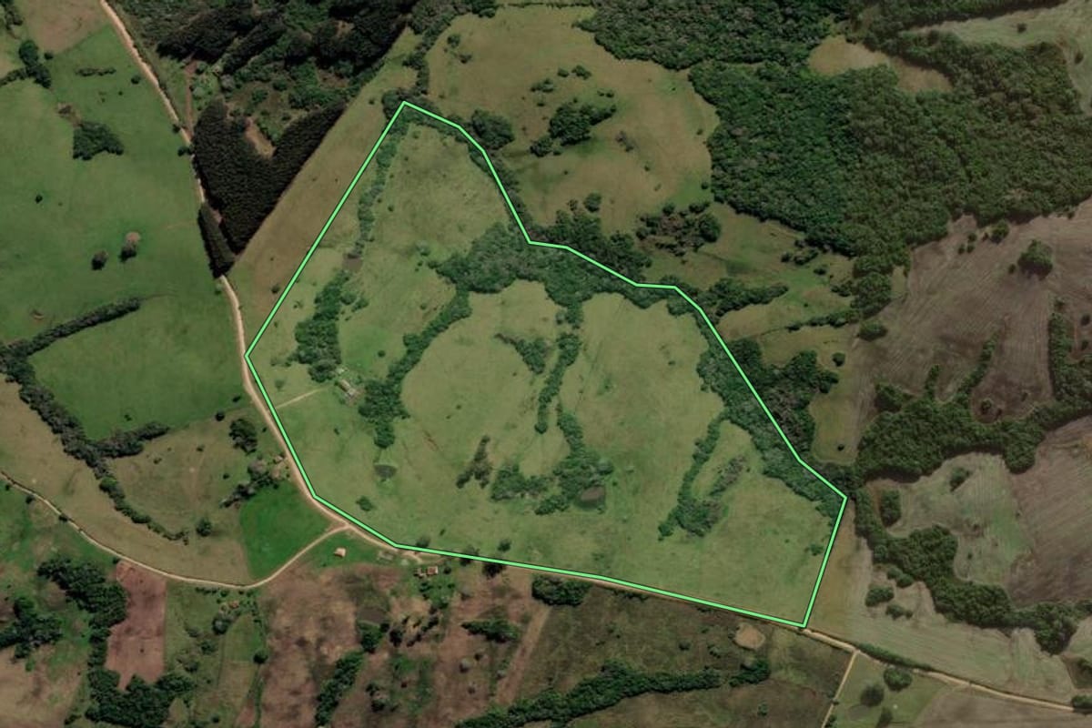 Imagem de satélite do imóvel rural em Cerrito (RS), com o contorno declarado no CAR desenhado por cima.
