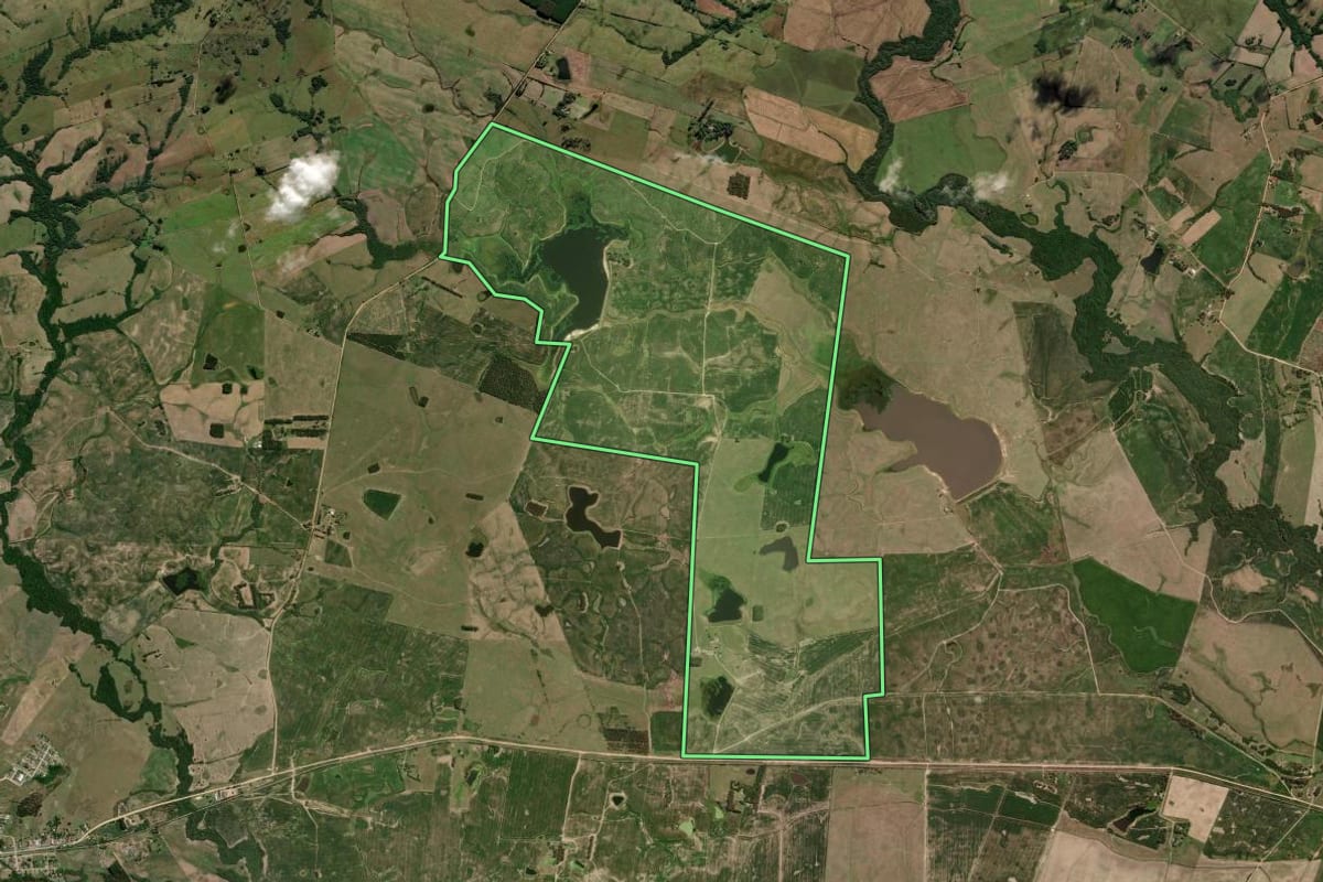Imagem de satélite do imóvel rural em Cerrito (RS), com o contorno declarado no CAR desenhado por cima.