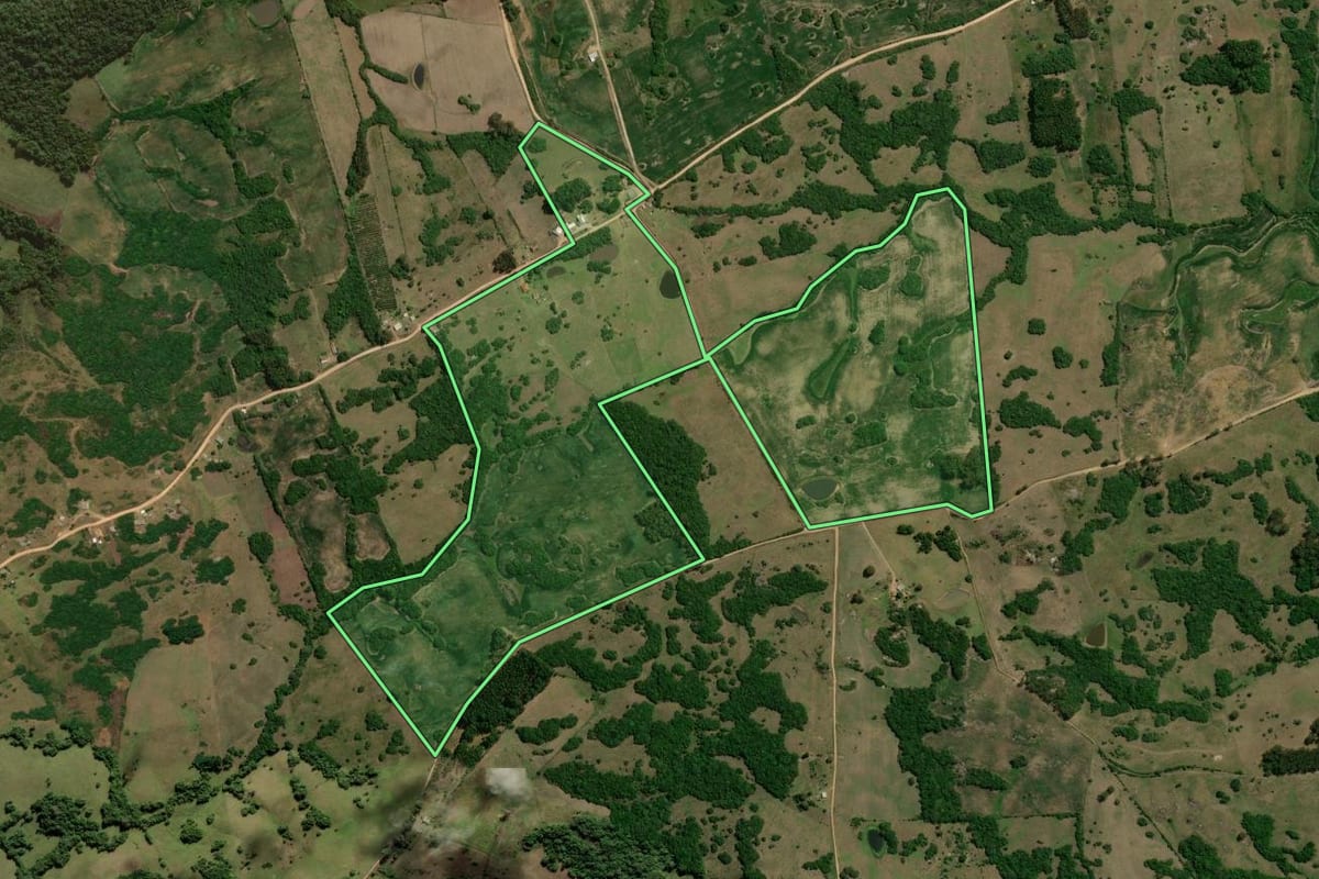 Imagem de satélite do imóvel rural em Cerrito (RS), com o contorno declarado no CAR desenhado por cima.