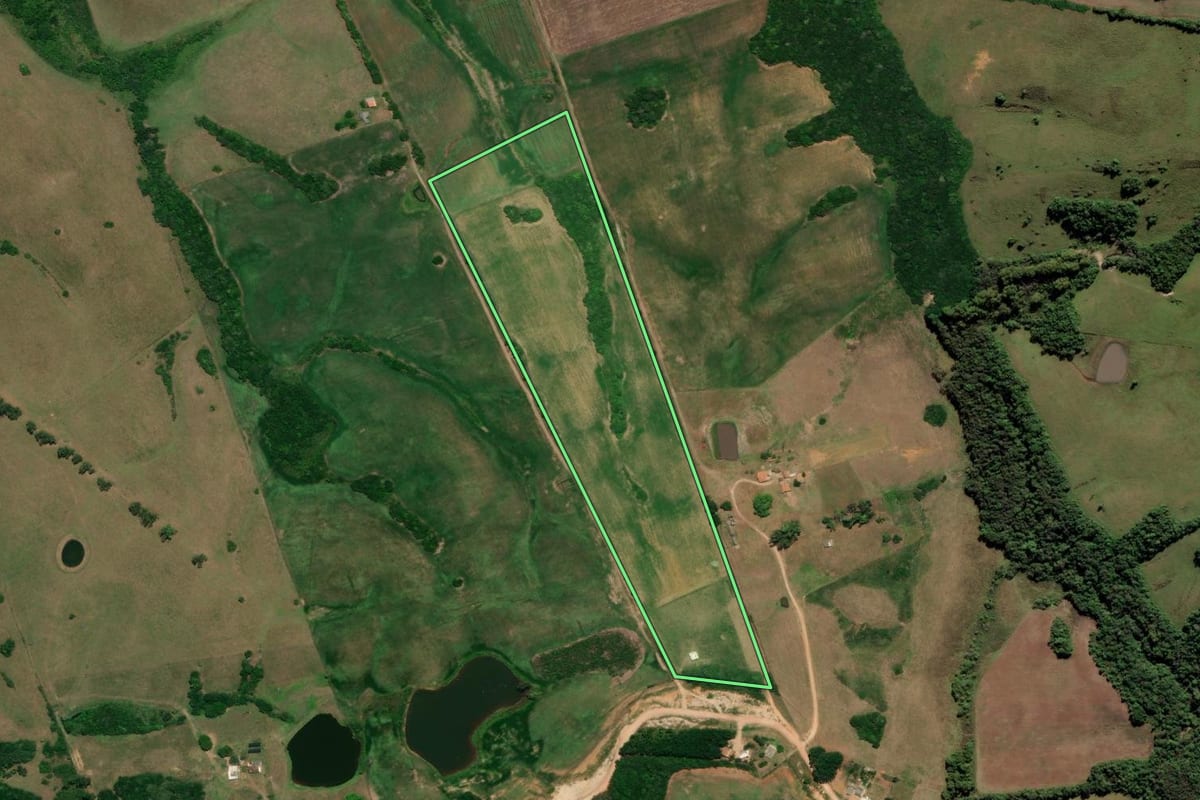 Imagem de satélite do imóvel rural em Cerrito (RS), com o contorno declarado no CAR desenhado por cima.