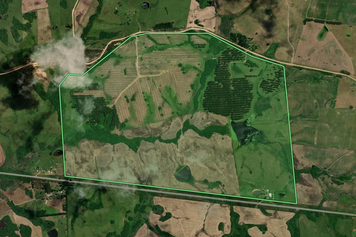 Imagem de satélite do imóvel rural em Cerrito (RS), com o contorno declarado no CAR desenhado por cima.