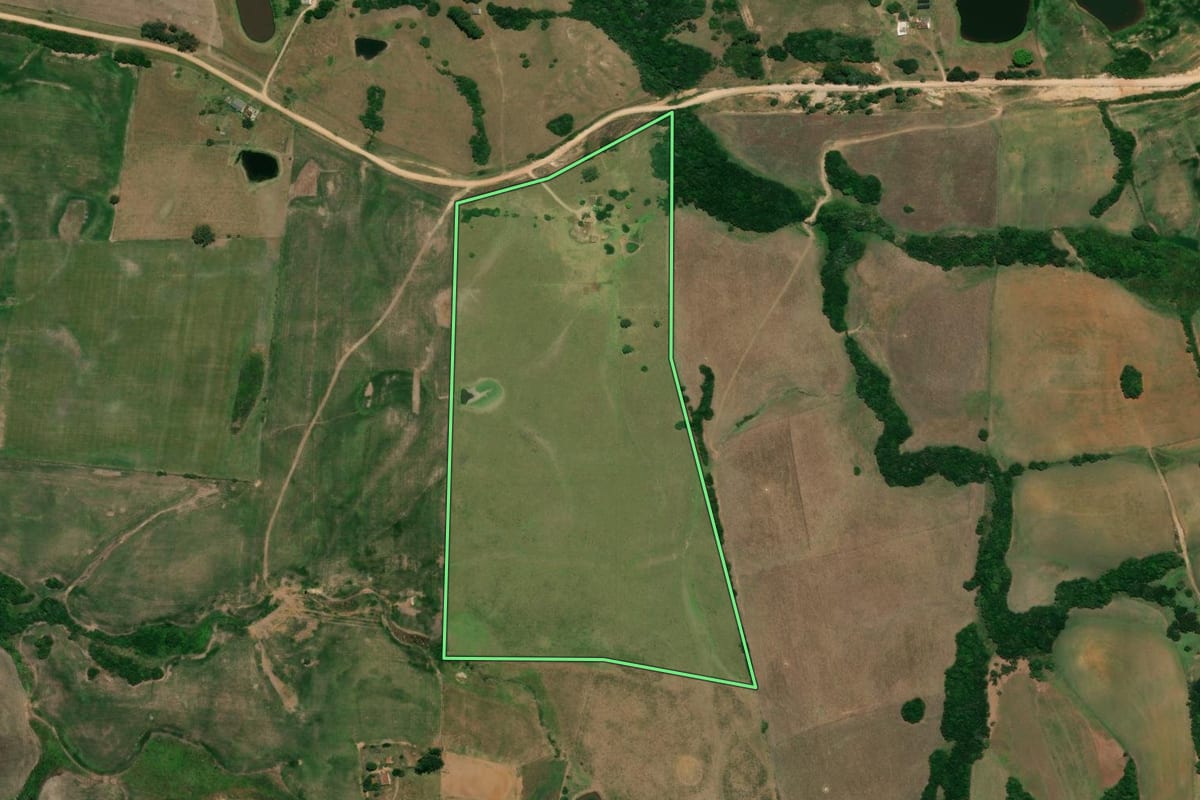 Imagem de satélite do imóvel rural em Cerrito (RS), com o contorno declarado no CAR desenhado por cima.