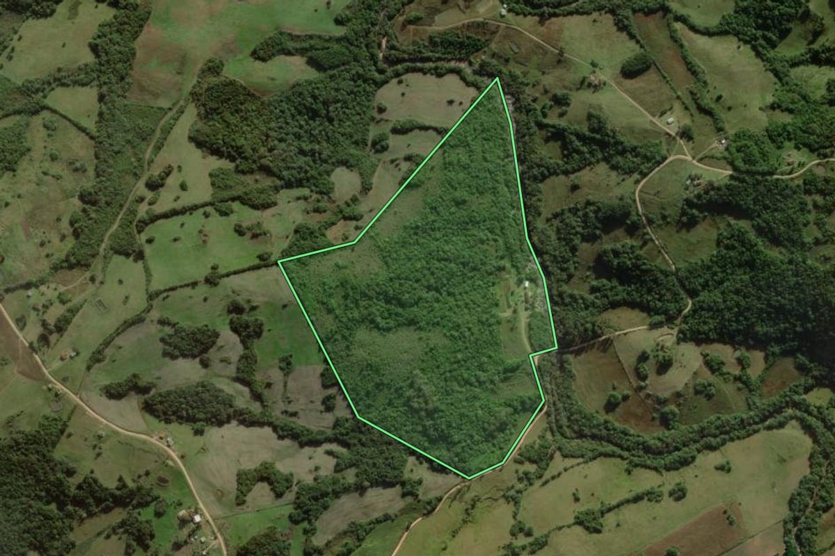 Imagem de satélite do imóvel rural em Cerrito (RS), com o contorno declarado no CAR desenhado por cima.