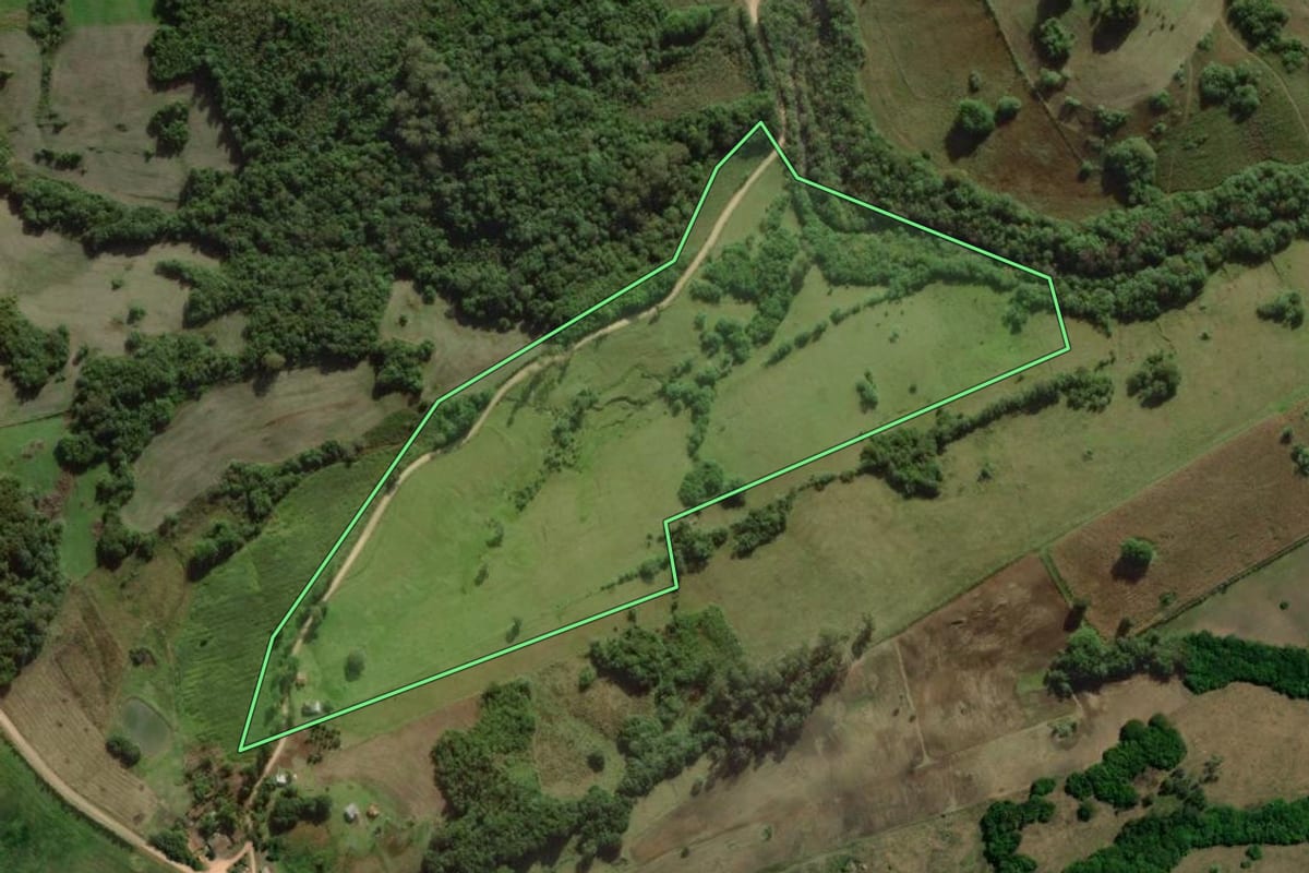 Imagem de satélite do imóvel rural em Cerrito (RS), com o contorno declarado no CAR desenhado por cima.