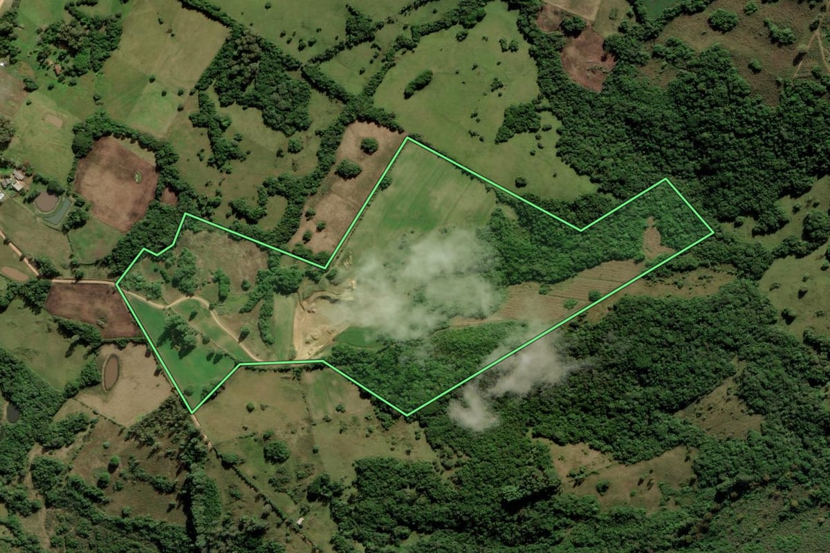 Imagem de satélite do imóvel rural em Cerrito (RS), com o contorno declarado no CAR desenhado por cima.