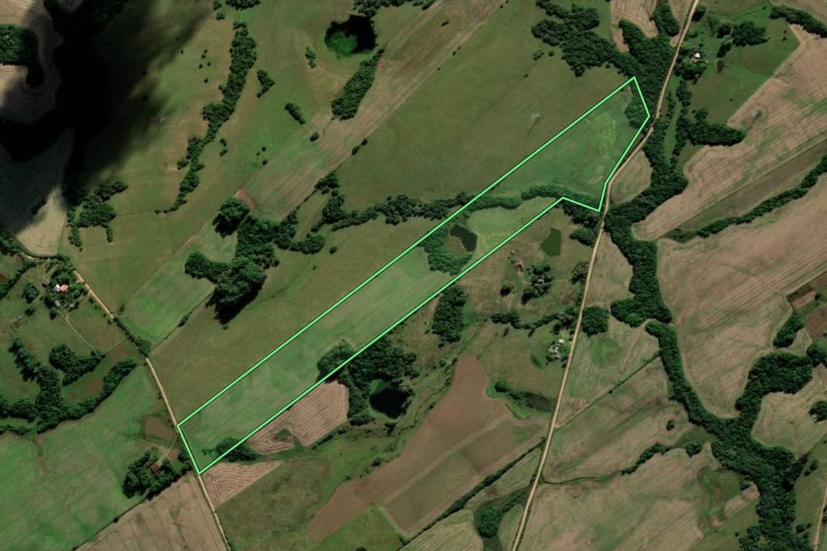 Imagem de satélite do imóvel rural em Cerrito (RS), com o contorno declarado no CAR desenhado por cima.