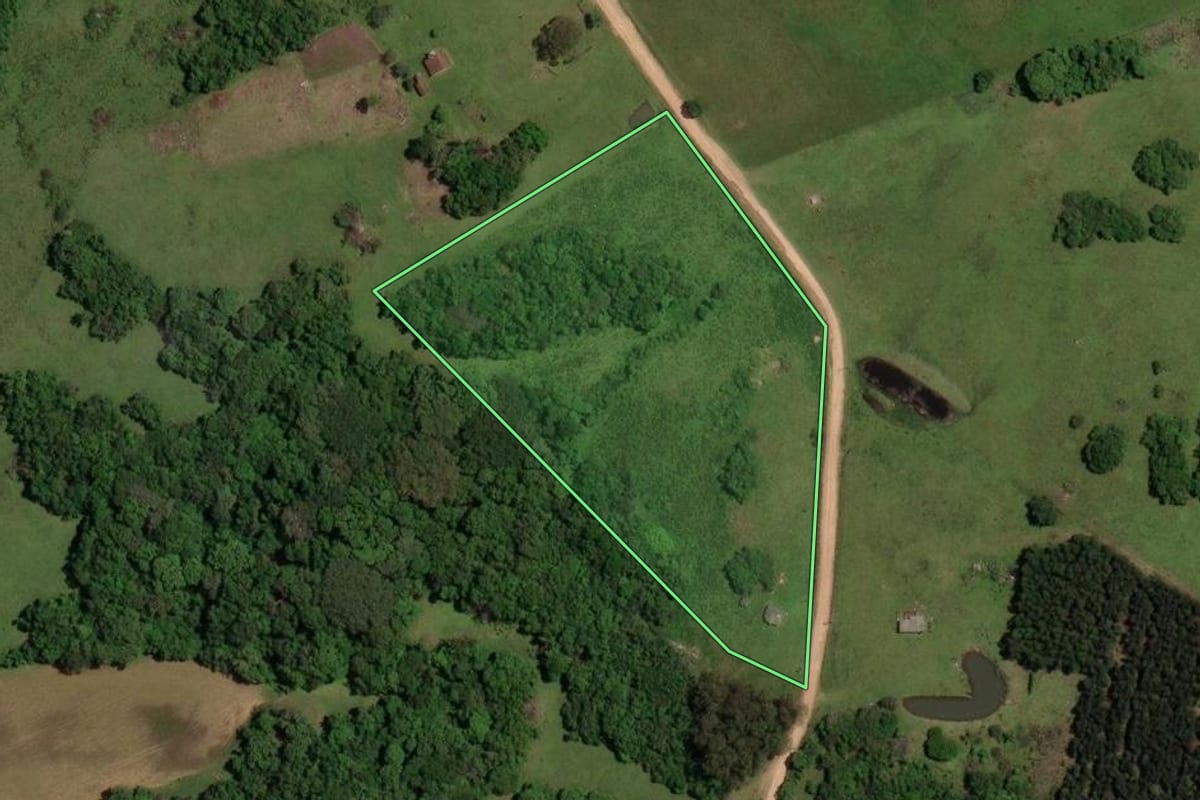 Imagem de satélite do imóvel rural em Cerrito (RS), com o contorno declarado no CAR desenhado por cima.