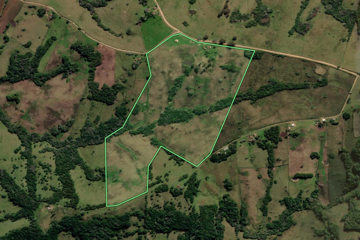 Imagem de satélite do imóvel rural em Cerrito (RS), com o contorno declarado no CAR desenhado por cima.