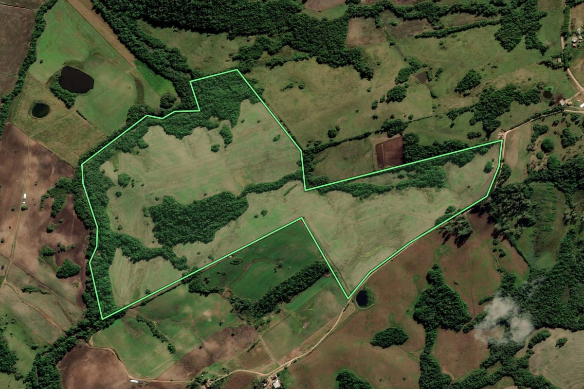 Imagem de satélite do imóvel rural em Cerrito (RS), com o contorno declarado no CAR desenhado por cima.