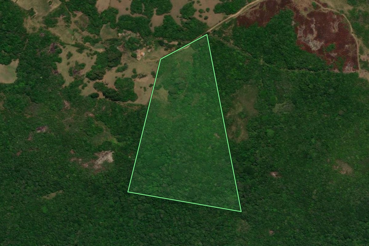 Imagem de satélite do imóvel rural em Cerrito (RS), com o contorno declarado no CAR desenhado por cima.