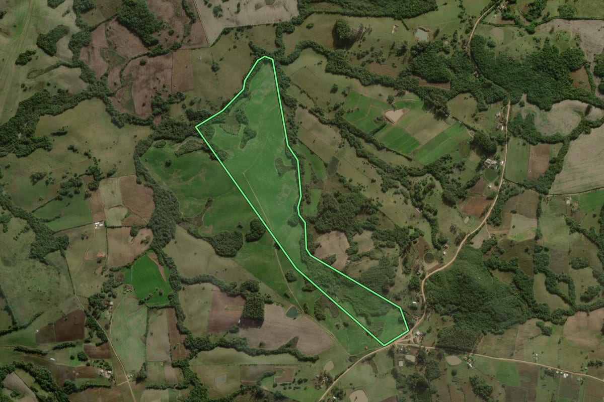 Imagem de satélite do imóvel rural em Cerrito (RS), com o contorno declarado no CAR desenhado por cima.