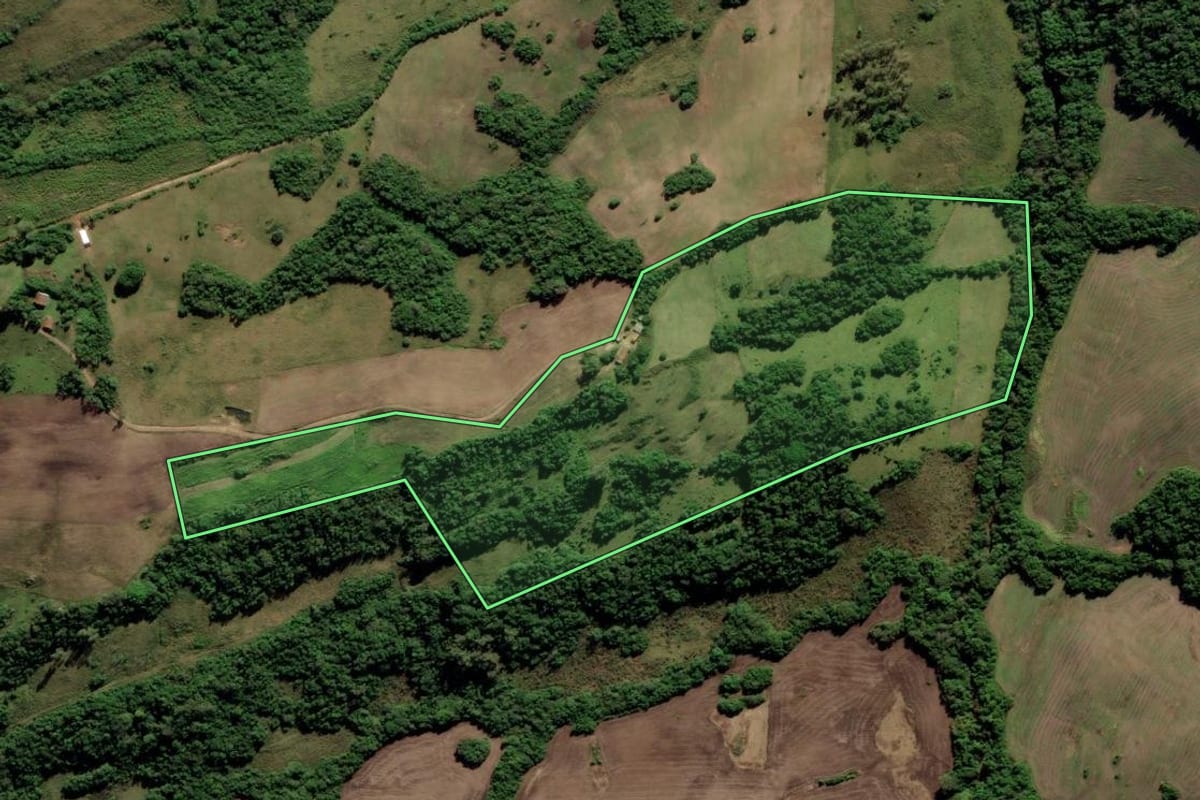 Imagem de satélite do imóvel rural em Cerrito (RS), com o contorno declarado no CAR desenhado por cima.