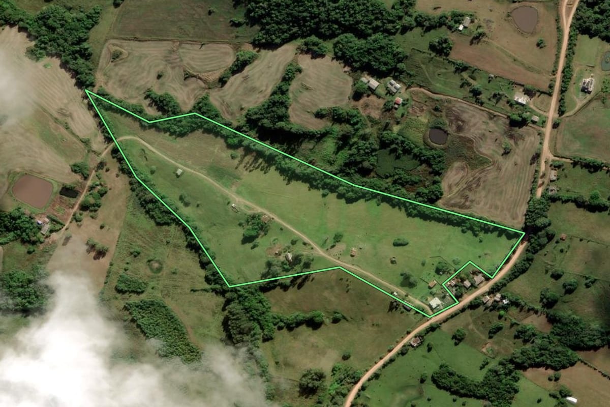 Imagem de satélite do imóvel rural em Cerrito (RS), com o contorno declarado no CAR desenhado por cima.