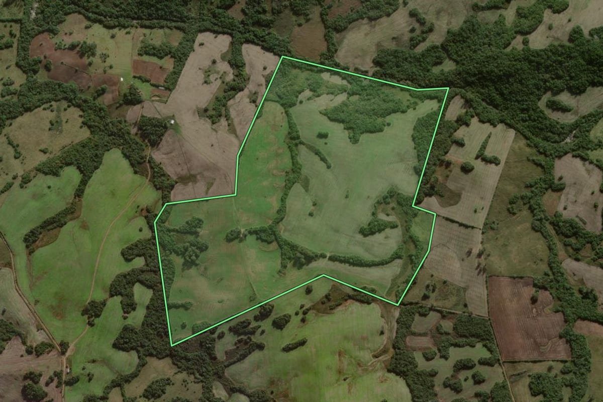 Imagem de satélite do imóvel rural em Cerrito (RS), com o contorno declarado no CAR desenhado por cima.