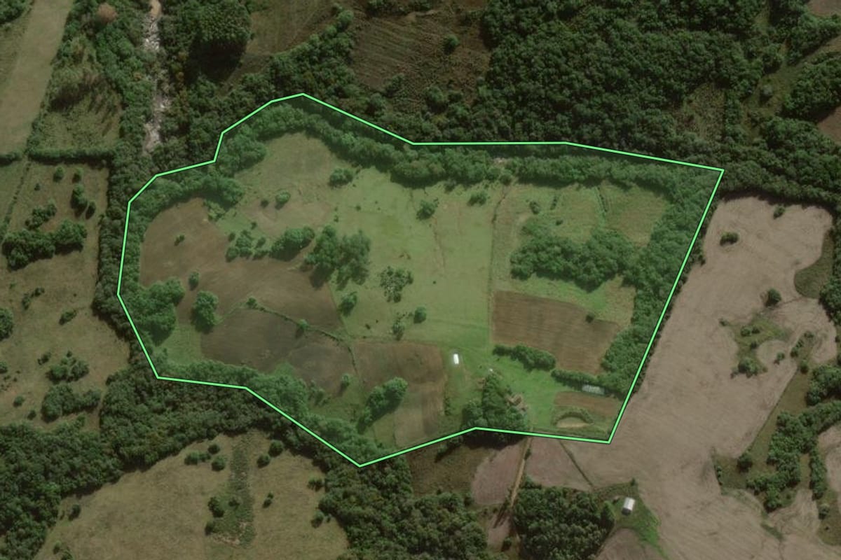 Imagem de satélite do imóvel rural em Cerrito (RS), com o contorno declarado no CAR desenhado por cima.