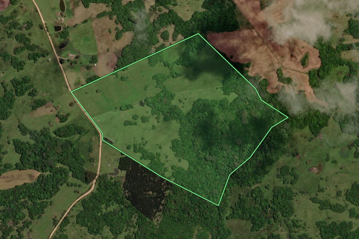 Imagem de satélite do imóvel rural em Cerrito (RS), com o contorno declarado no CAR desenhado por cima.