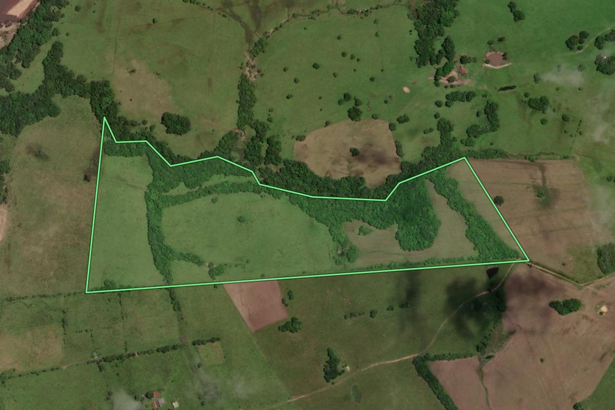 Imagem de satélite do imóvel rural em Cerrito (RS), com o contorno declarado no CAR desenhado por cima.