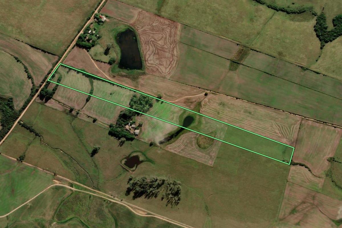Imagem de satélite do imóvel rural em Cerrito (RS), com o contorno declarado no CAR desenhado por cima.