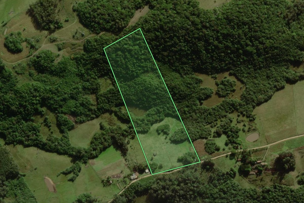 Imagem de satélite do imóvel rural em Cerrito (RS), com o contorno declarado no CAR desenhado por cima.