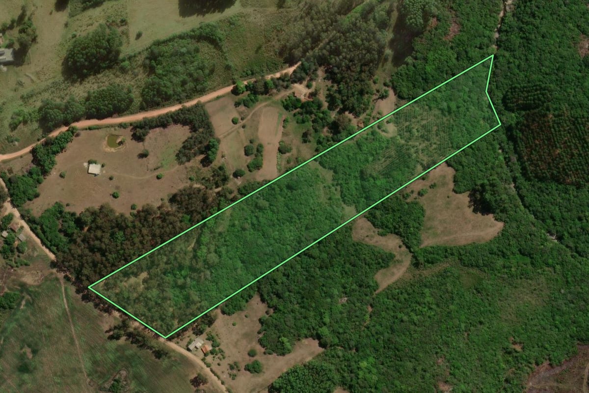 Imagem de satélite do imóvel rural em Cerrito (RS), com o contorno declarado no CAR desenhado por cima.