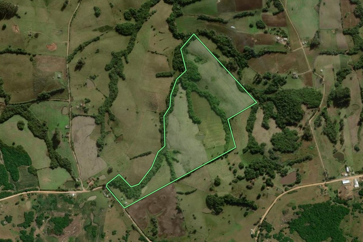 Imagem de satélite do imóvel rural em Cerrito (RS), com o contorno declarado no CAR desenhado por cima.