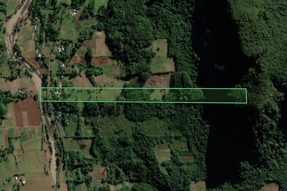 Imagem de satélite do imóvel rural em Cerro Branco (RS), com o contorno declarado no CAR desenhado por cima.