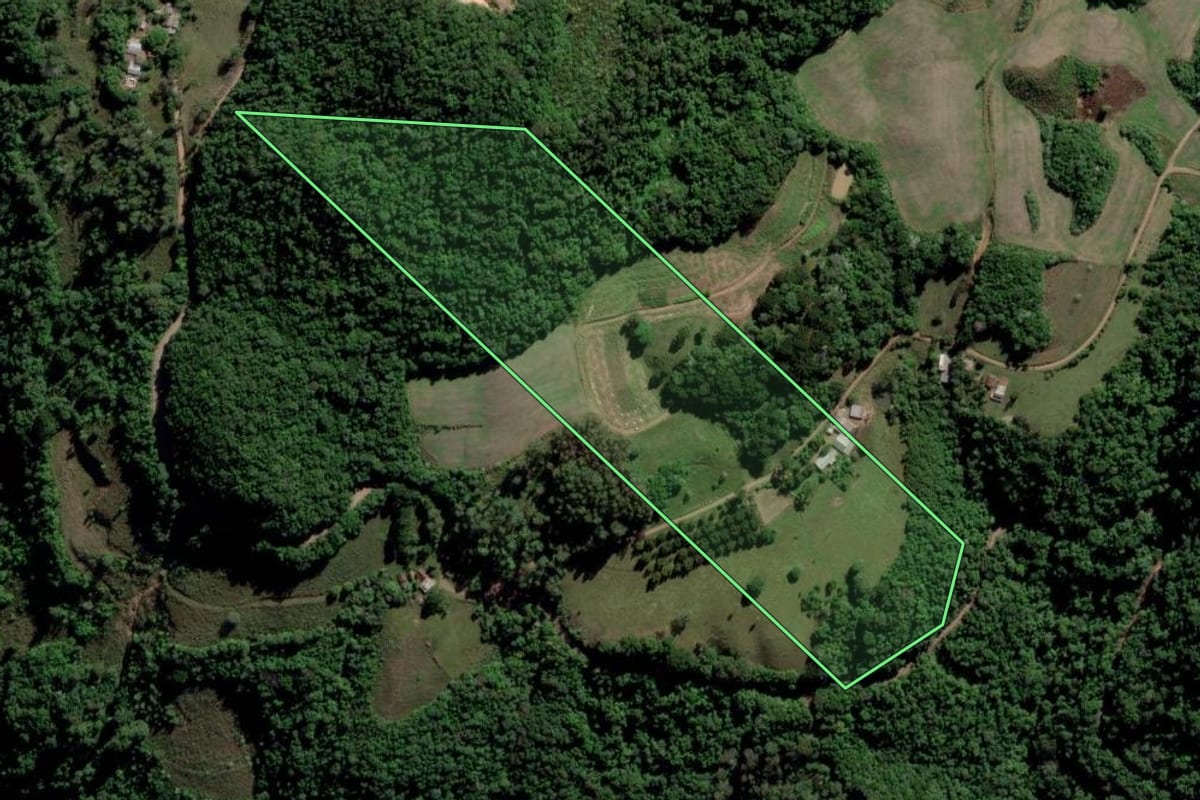 Imagem de satélite do imóvel rural em Cerro Branco (RS), com o contorno declarado no CAR desenhado por cima.