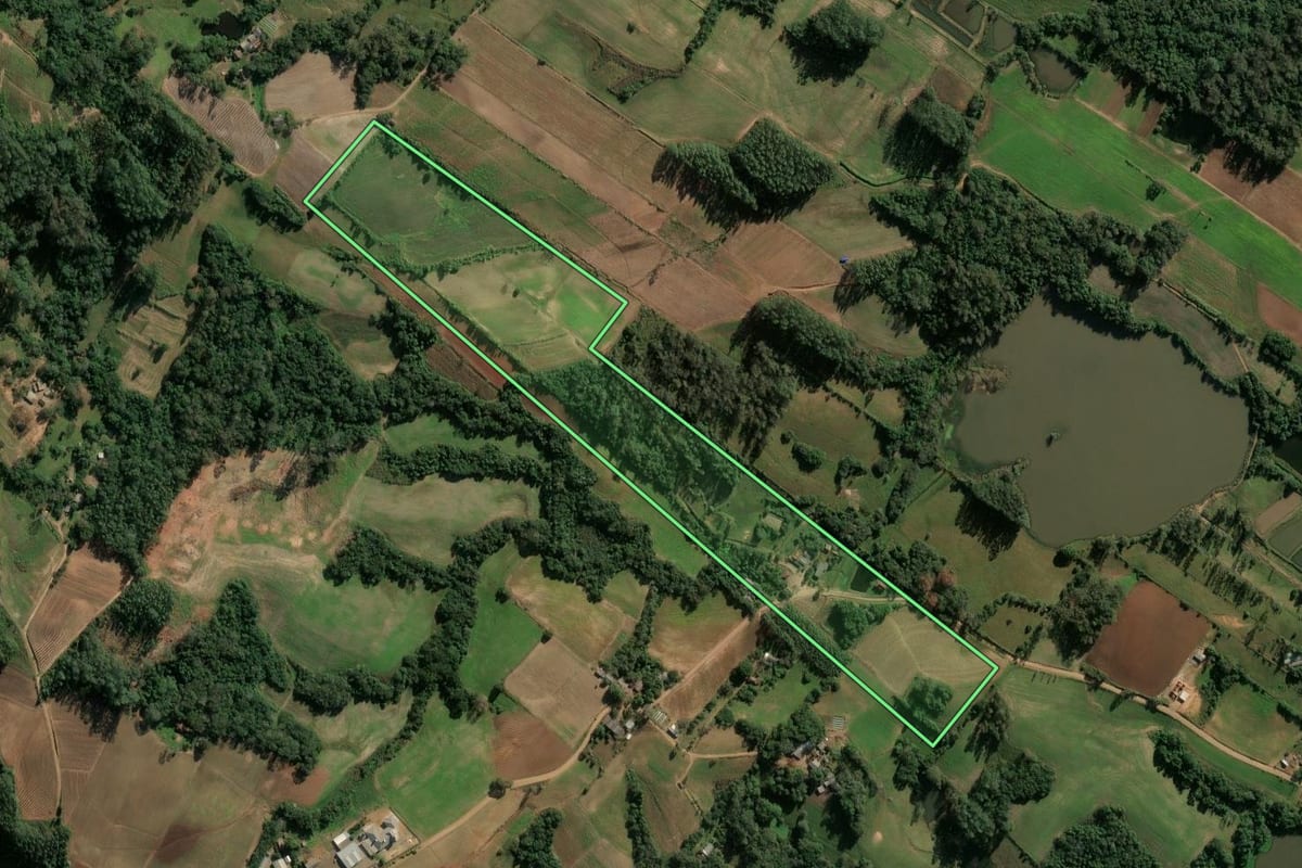 Imagem de satélite do imóvel rural em Cerro Branco (RS), com o contorno declarado no CAR desenhado por cima.