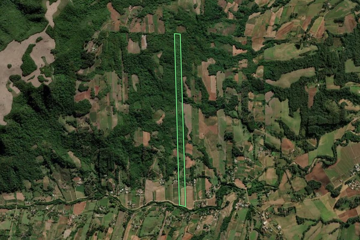 Imagem de satélite do imóvel rural em Cerro Branco (RS), com o contorno declarado no CAR desenhado por cima.