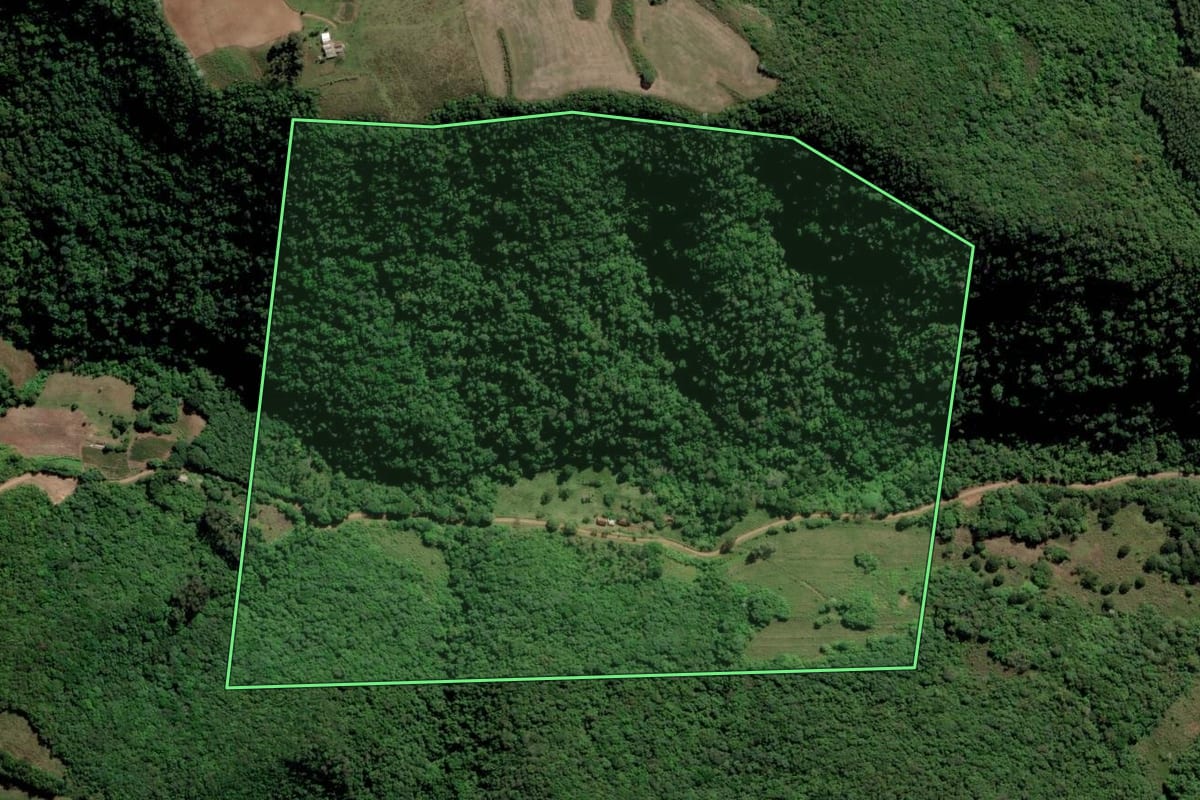 Imagem de satélite do imóvel rural em Cerro Branco (RS), com o contorno declarado no CAR desenhado por cima.