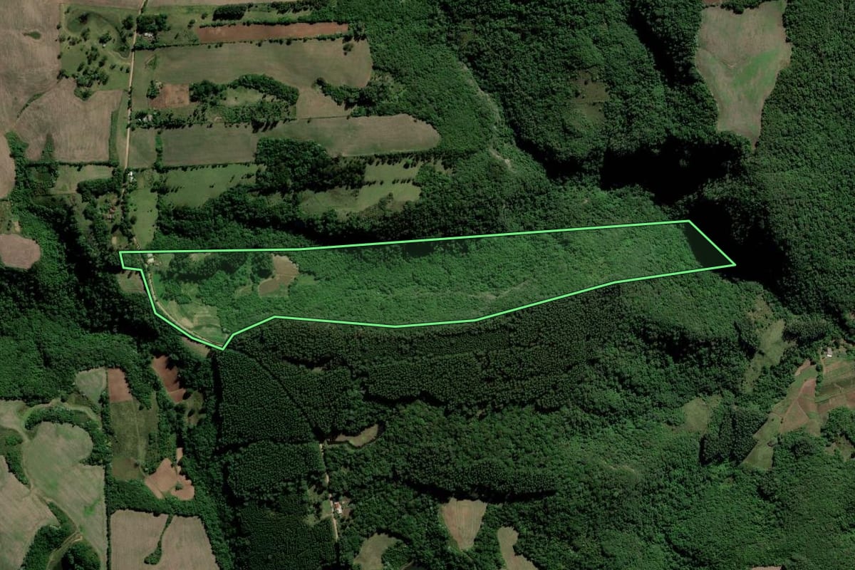 Imagem de satélite do imóvel rural em Cerro Branco (RS), com o contorno declarado no CAR desenhado por cima.