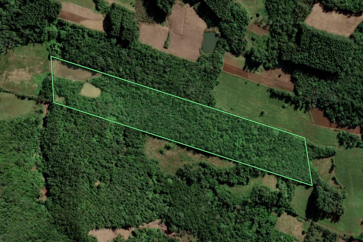 Imagem de satélite do imóvel rural em Cerro Branco (RS), com o contorno declarado no CAR desenhado por cima.