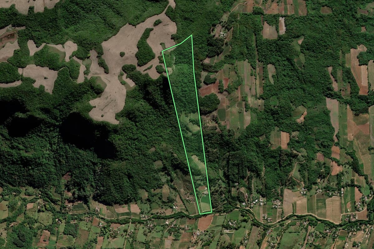 Imagem de satélite do imóvel rural em Cerro Branco (RS), com o contorno declarado no CAR desenhado por cima.