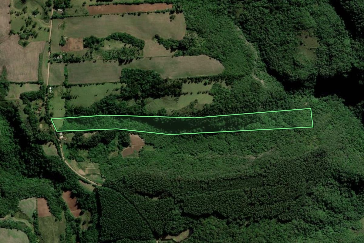 Imagem de satélite do imóvel rural em Cerro Branco (RS), com o contorno declarado no CAR desenhado por cima.