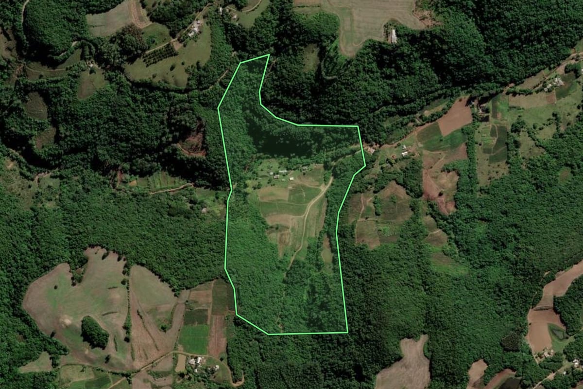 Imagem de satélite do imóvel rural em Cerro Branco (RS), com o contorno declarado no CAR desenhado por cima.