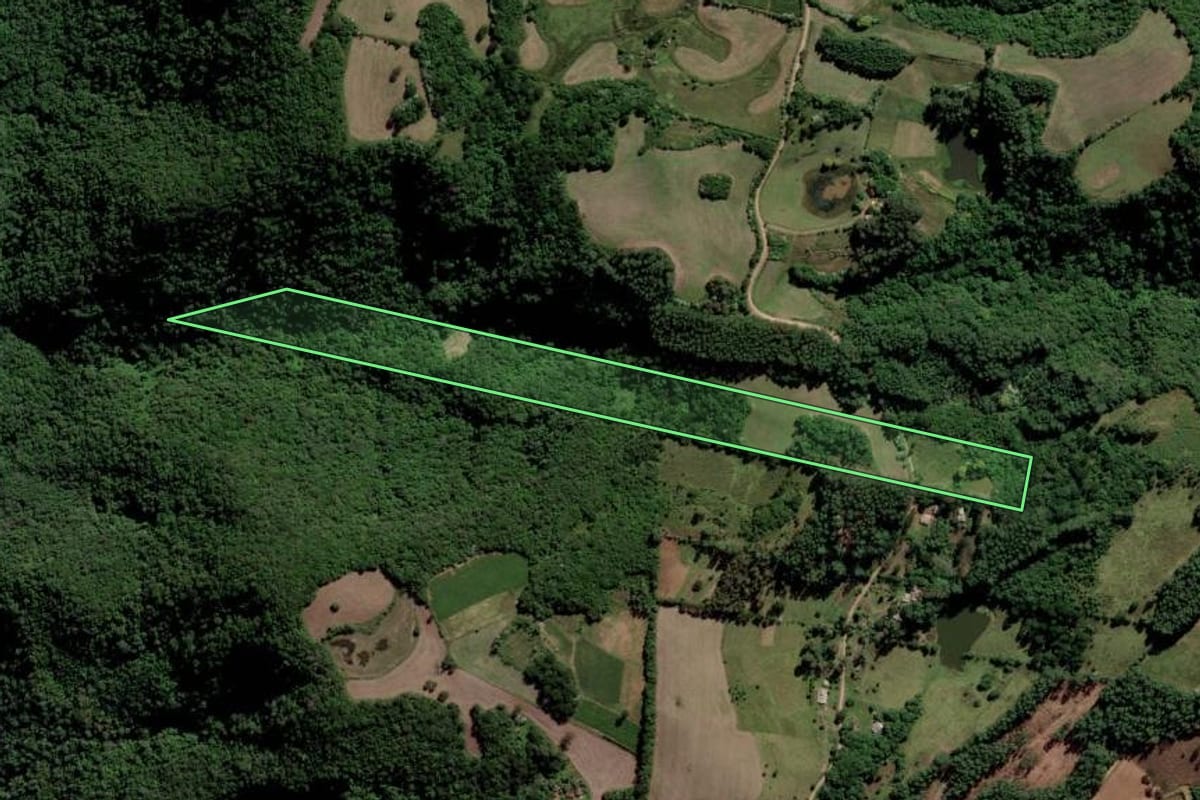 Imagem de satélite do imóvel rural em Cerro Branco (RS), com o contorno declarado no CAR desenhado por cima.
