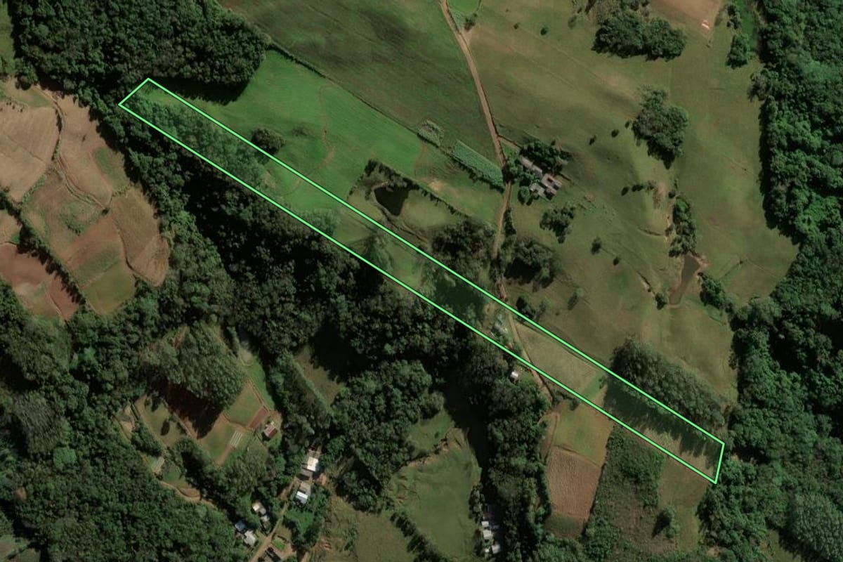 Imagem de satélite do imóvel rural em Cerro Branco (RS), com o contorno declarado no CAR desenhado por cima.
